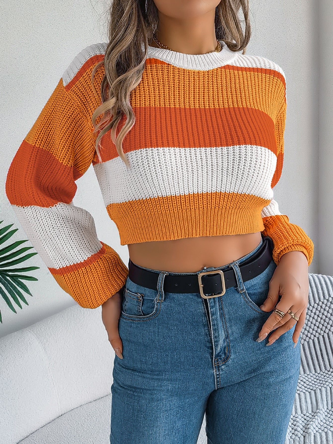 Color Block Lantern Sleeve Crop Sweater - 2026 Winter Collection Casual Top – Minimal Elegance | The Simple Co – Practical cottage, minimalist style, quiet luxury aesthetic, modern essential – The Simple Co.